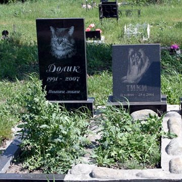 Где можно похоронить животное в Киеве
